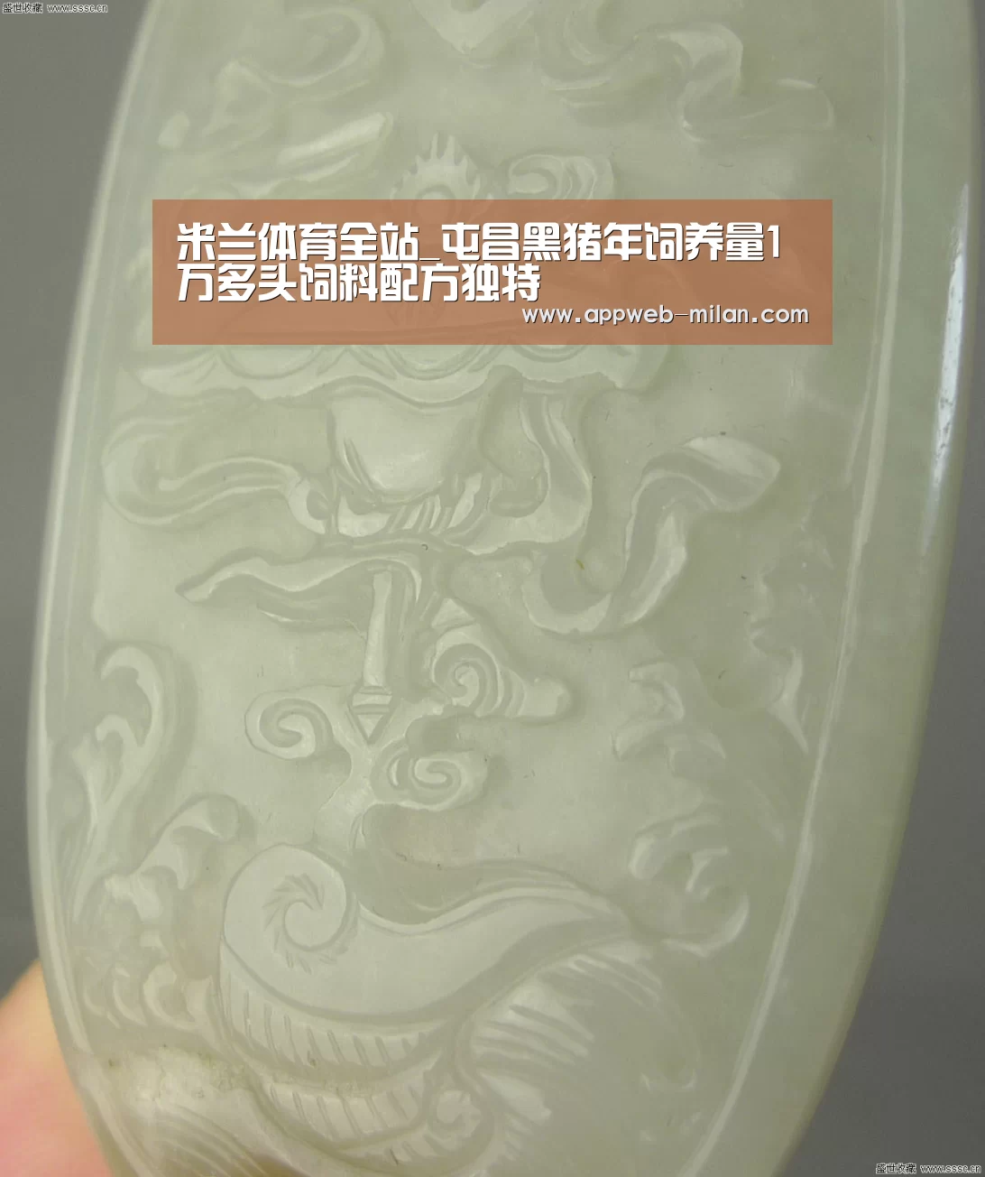 米兰体育全站_屯昌黑猪年饲养量1万多头饲料配方独特