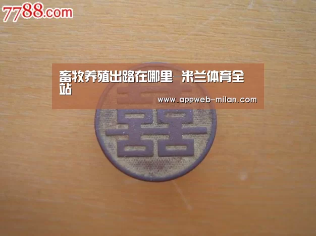 畜牧养殖出路在哪里-米兰体育全站